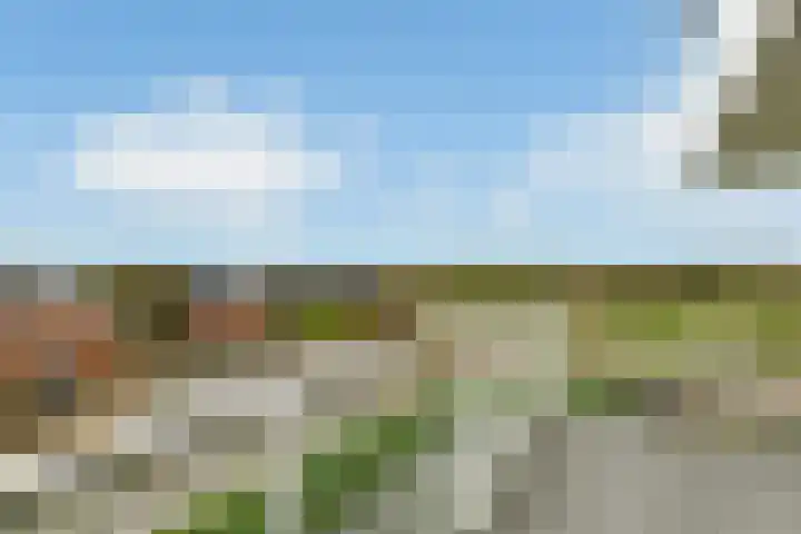 Juno 167 Elst thumbnail 21