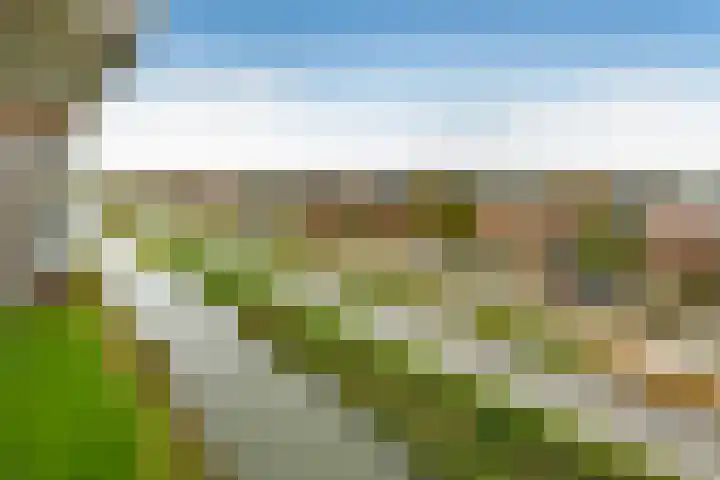 Juno 167 Elst thumbnail 24