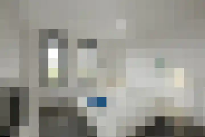Juno 167 Elst thumbnail 26