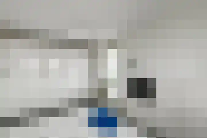 Juno 167 Elst thumbnail 27