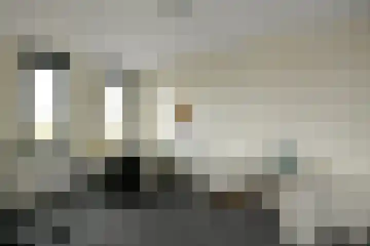 Juno 167 Elst thumbnail 28
