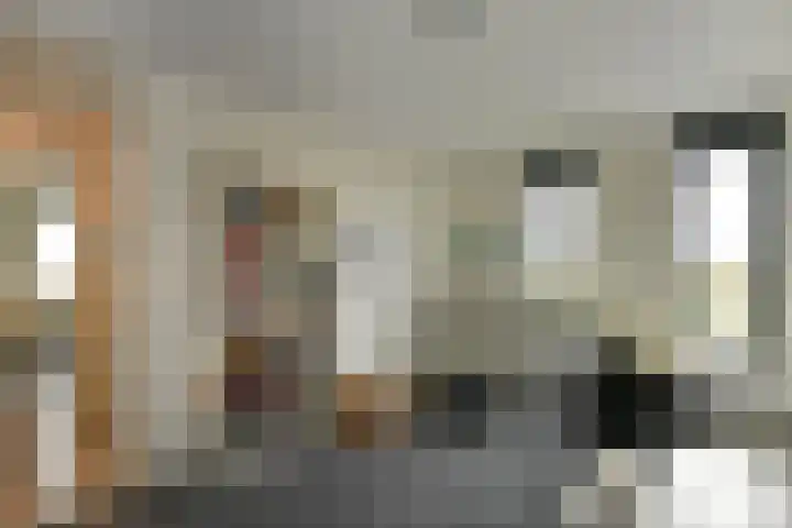 Juno 167 Elst thumbnail 29