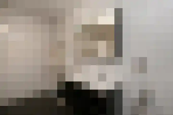 Juno 167 Elst thumbnail 33