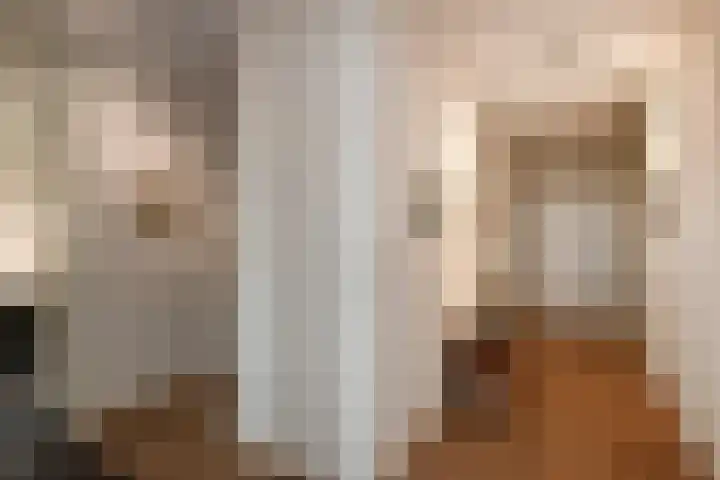Juno 167 Elst thumbnail 37