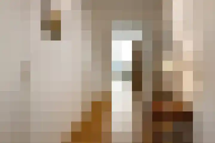 Juno 167 Elst thumbnail 38