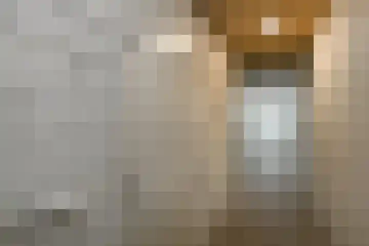 Juno 167 Elst thumbnail 39