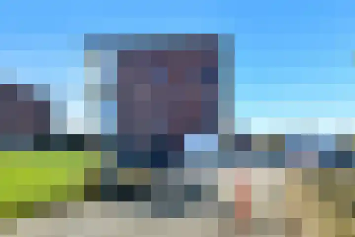 Juno 167 Elst thumbnail 41
