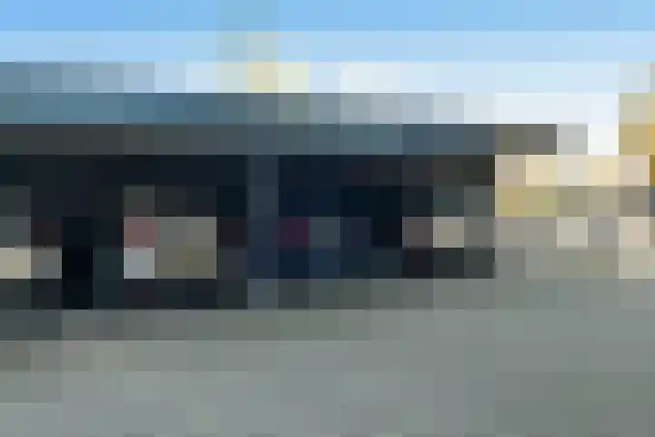 Juno 167 Elst thumbnail 43