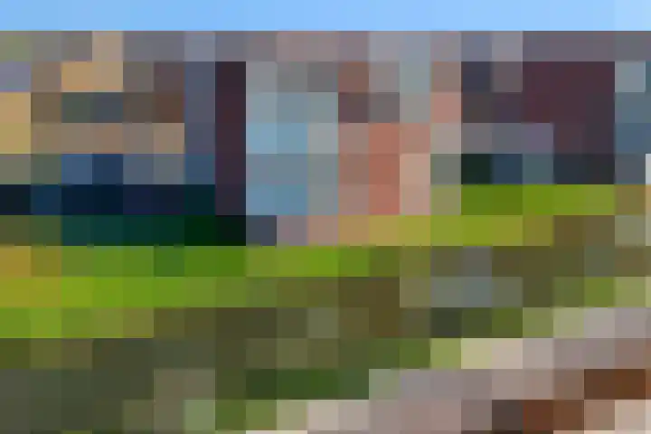 Juno 167 Elst thumbnail 44