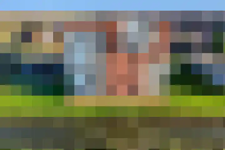 Juno 167 Elst thumbnail 46