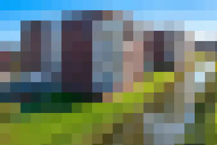 Juno 167 Elst thumbnail 48