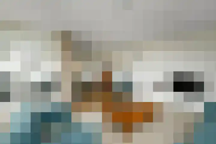 Juno 167 Elst thumbnail 8