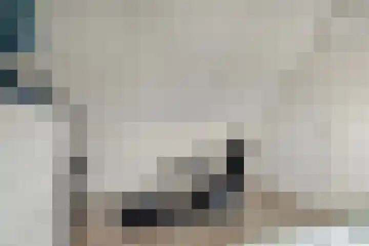 Juno 3 Veldhoven thumbnail 17