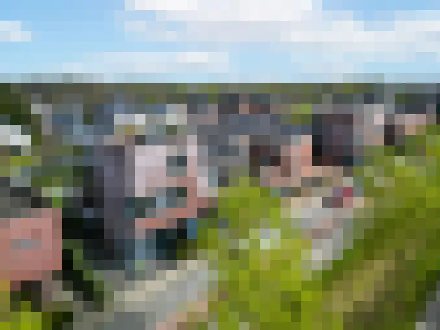 Juno 3 Veldhoven thumbnail 21