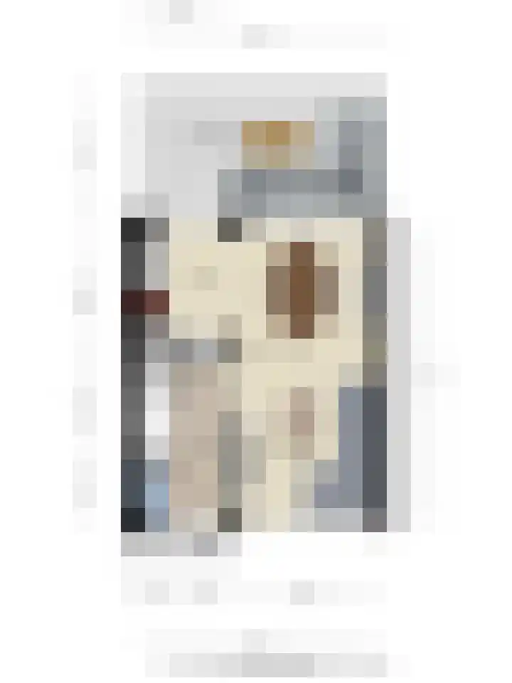 Juno 3 Veldhoven thumbnail 25
