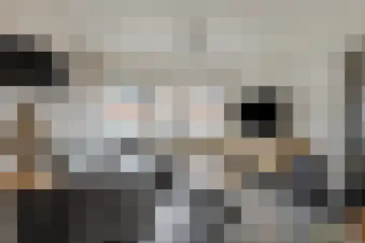 Juno 3 Veldhoven thumbnail 4