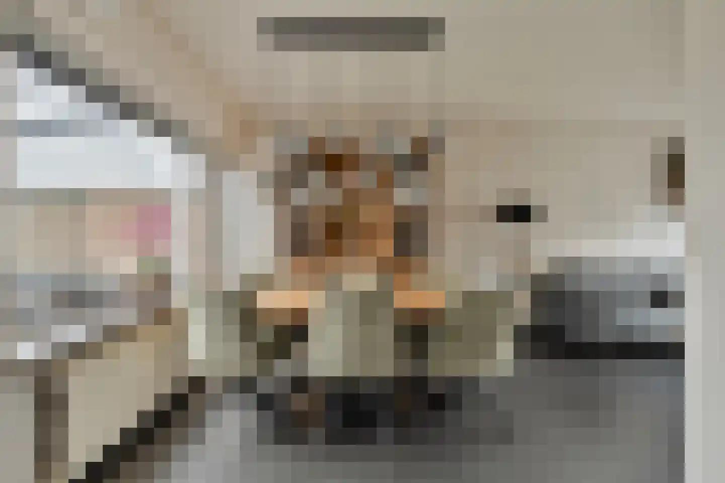 Juno 3 Veldhoven thumbnail 5