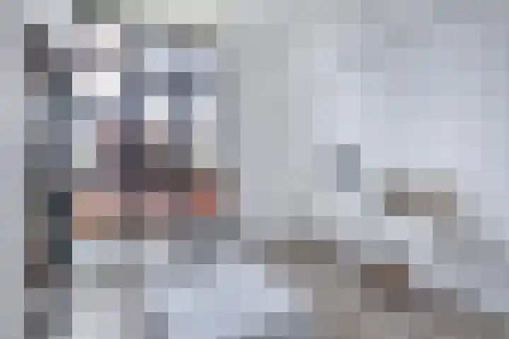 Junobaan 26 Franeker thumbnail 28