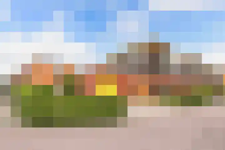 Junobaan 26 Franeker thumbnail 42