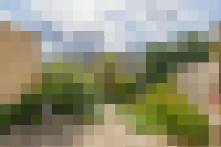 Junolaan 5 Waddinxveen thumbnail 17