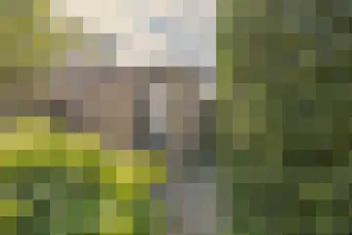 Junolaan 5 Waddinxveen thumbnail 18