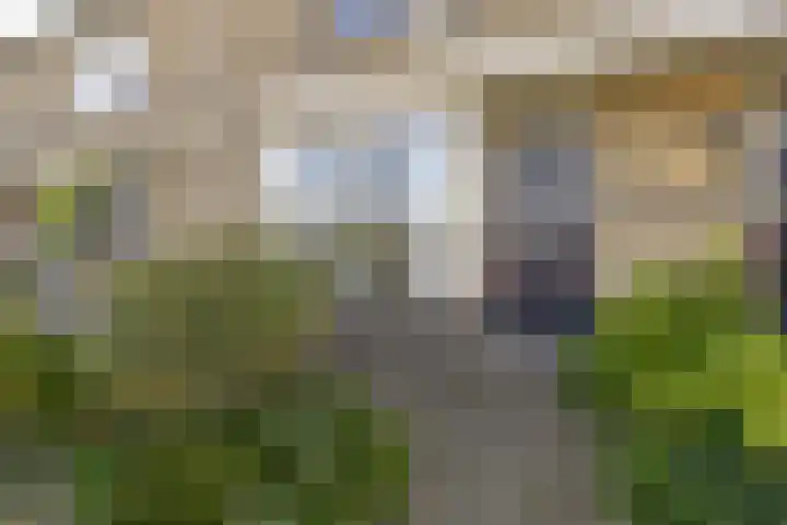 Junolaan 5 Waddinxveen thumbnail 4