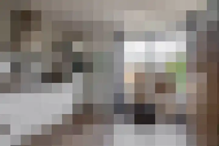 Junolaan 7 Waddinxveen thumbnail 13