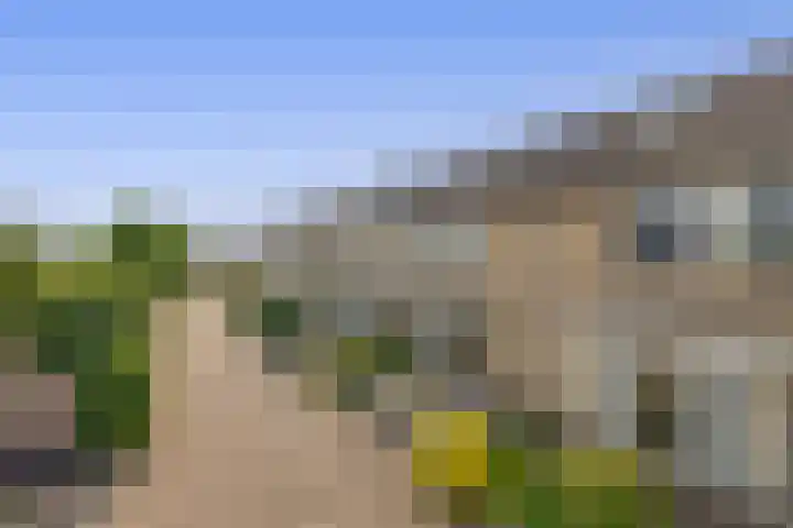 Junolaan 7 Waddinxveen thumbnail 32