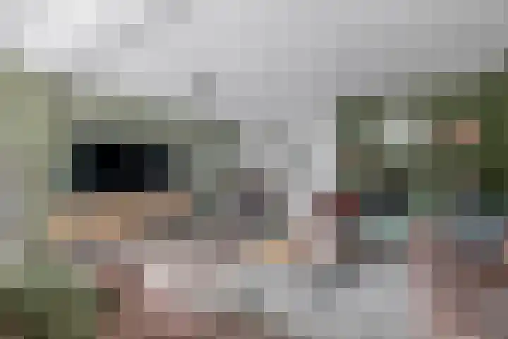 Junolaan 7 Waddinxveen thumbnail 8