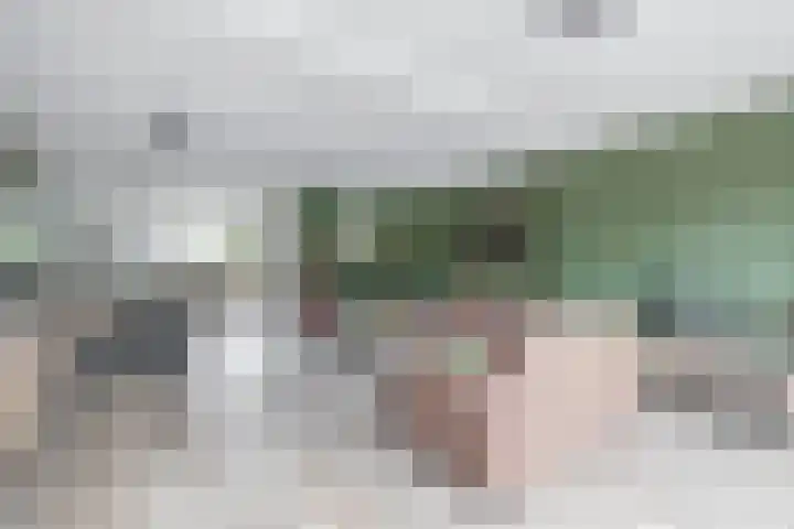 Junolaan 7 Waddinxveen thumbnail 9