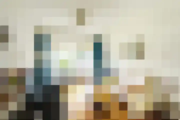 Junoplantsoen 105 Haarlem thumbnail 12