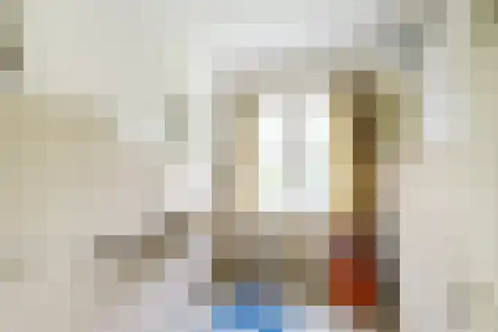 Junoplantsoen 105 Haarlem thumbnail 29