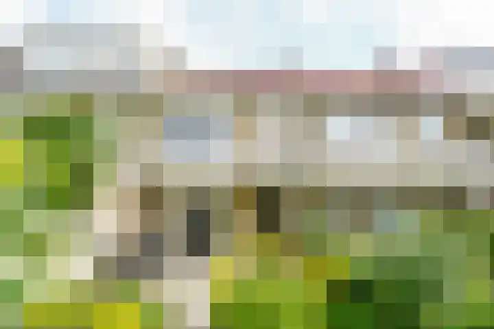 Junoplantsoen 105 Haarlem thumbnail 4