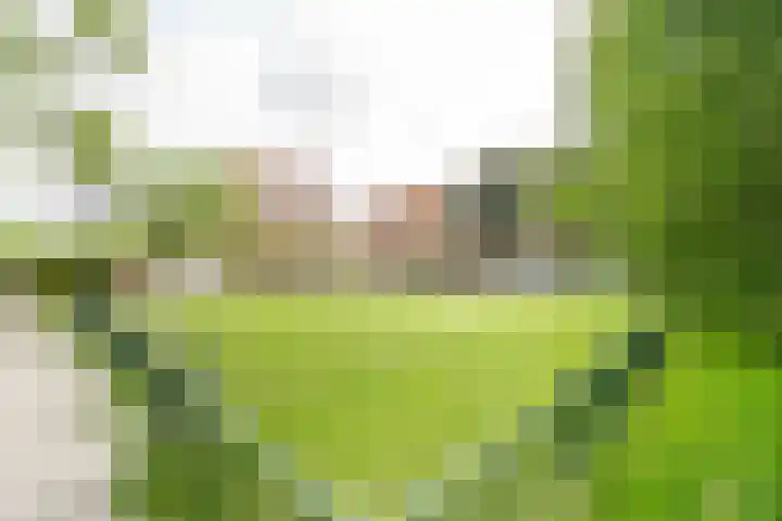 Junoplantsoen 105 Haarlem thumbnail 43
