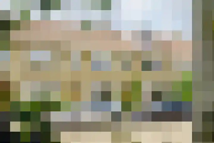 Junoplantsoen 105 Haarlem thumbnail 6