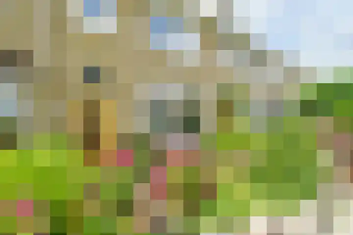 Junoplantsoen 105 Haarlem thumbnail 7