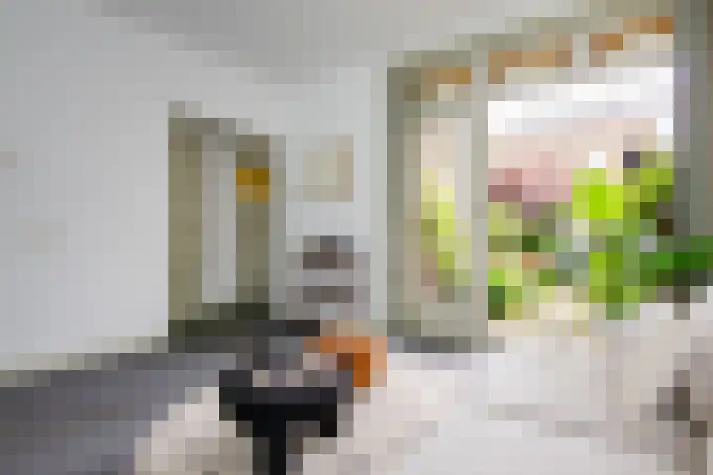 Junoplantsoen 79 Haarlem thumbnail 13