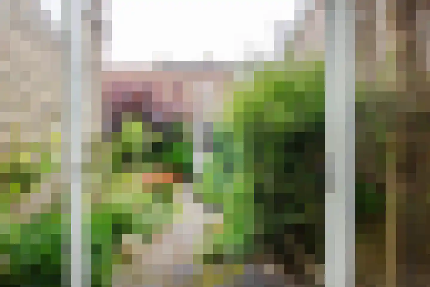Junoplantsoen 79 Haarlem thumbnail 30