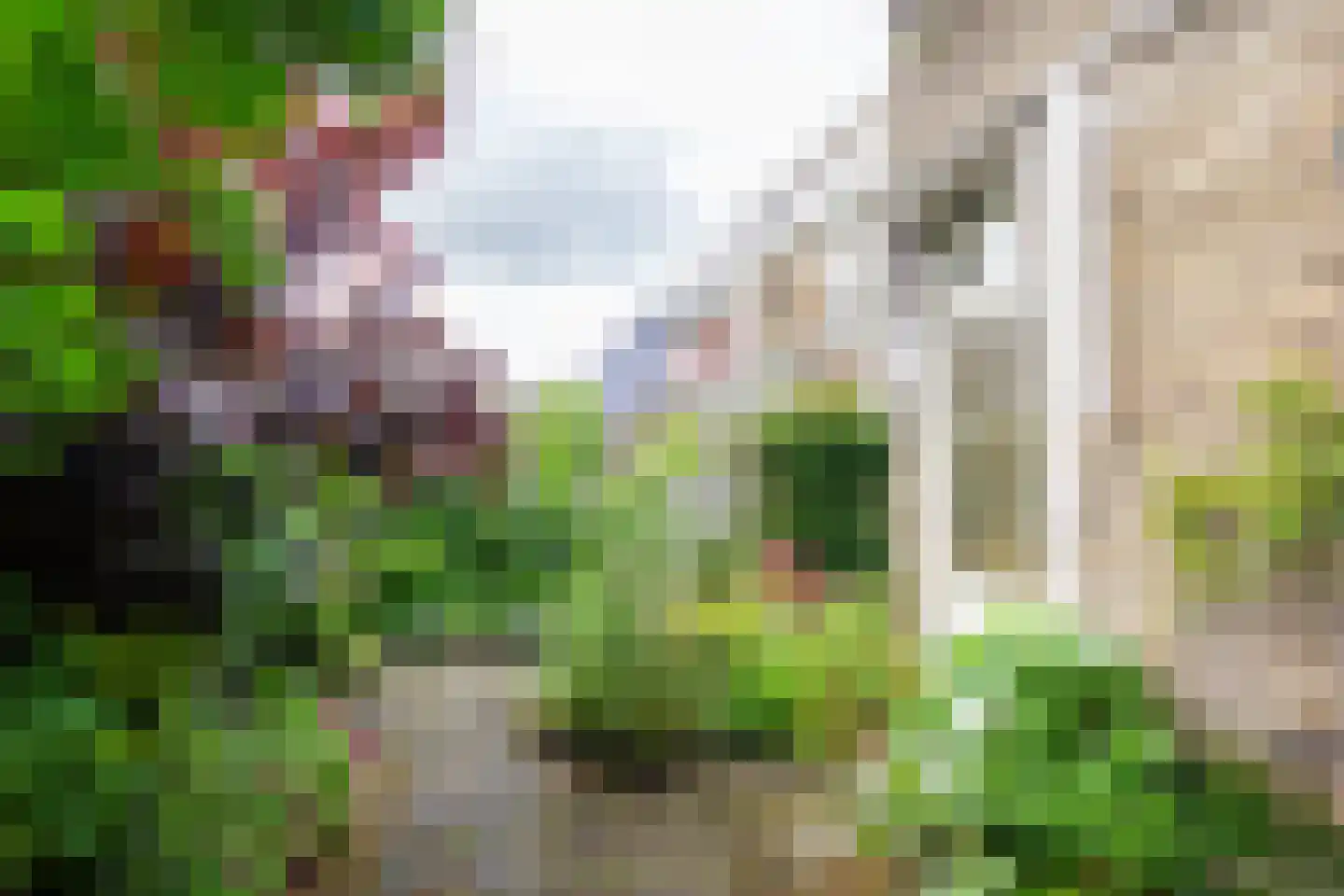 Junoplantsoen 79 Haarlem thumbnail 31