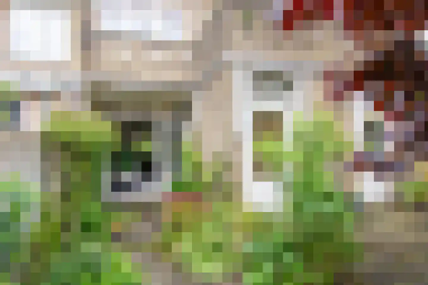 Junoplantsoen 79 Haarlem thumbnail 32