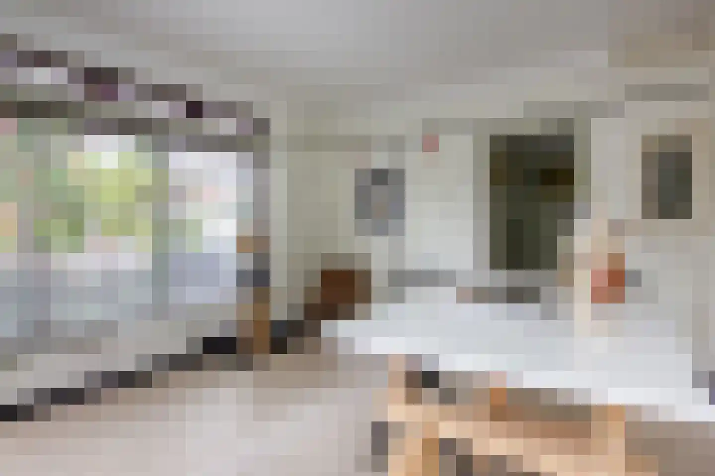 Junoplantsoen 79 Haarlem thumbnail 6