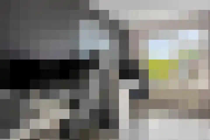 Junoplein 17 Bemmel thumbnail 22