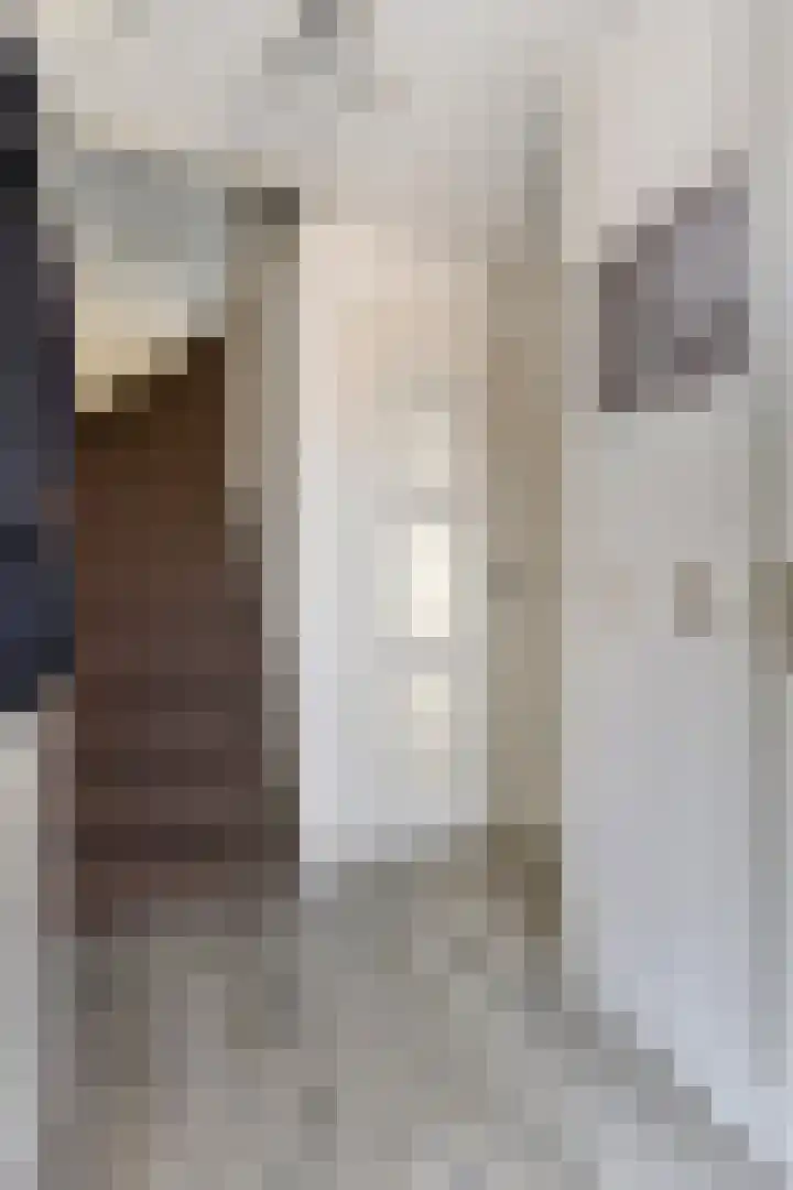Junoplein 17 Bemmel thumbnail 7
