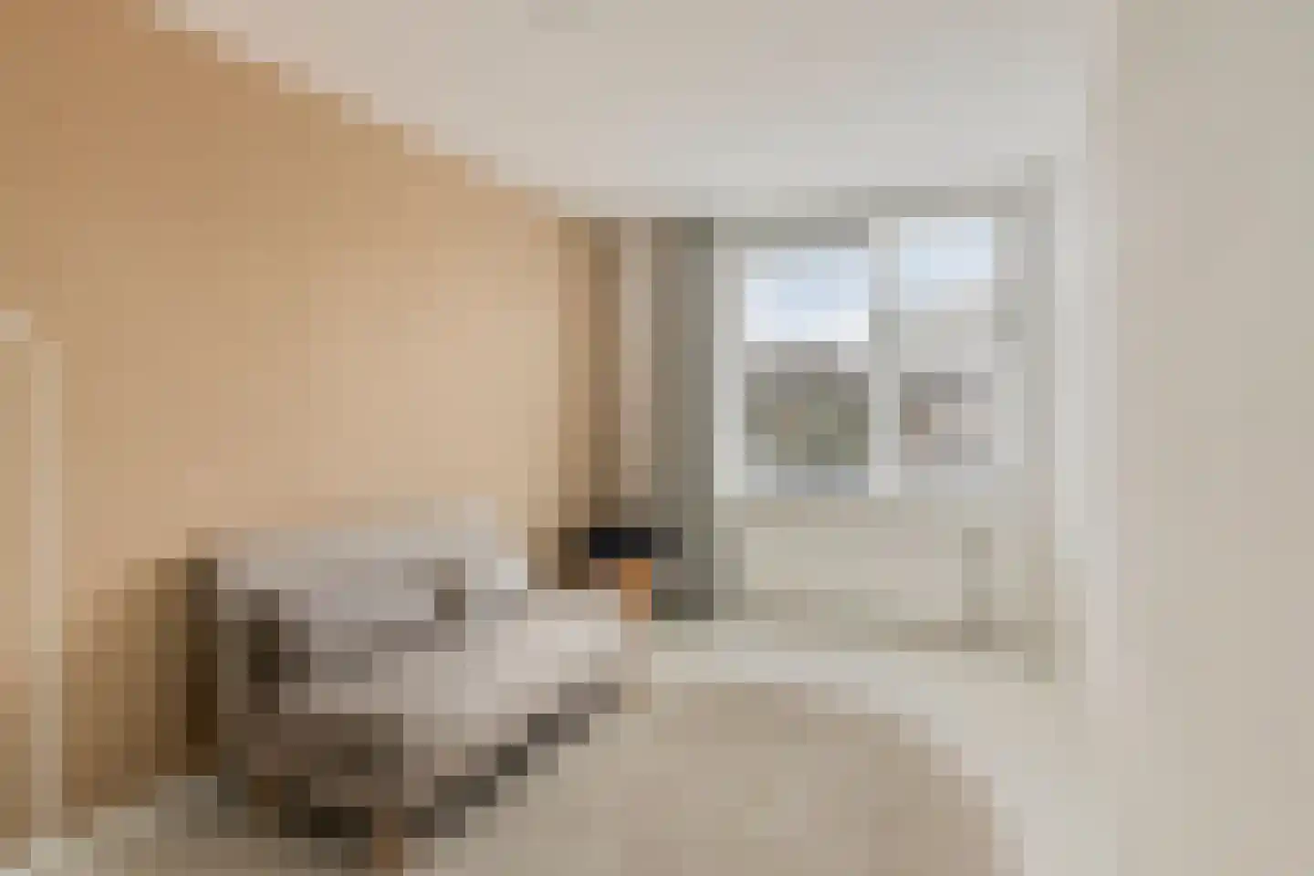 Junoplein 28 Bemmel thumbnail 28