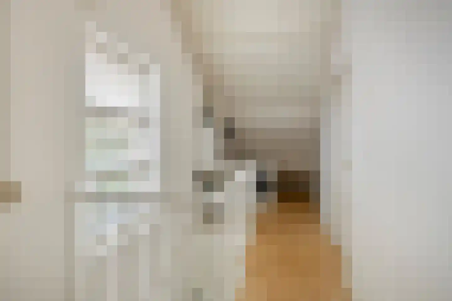 Junoplein 28 Bemmel thumbnail 33