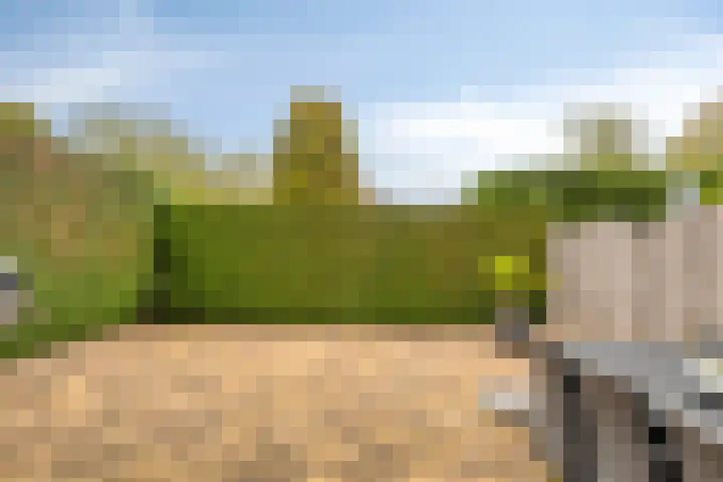 Junoplein 28 Bemmel thumbnail 36