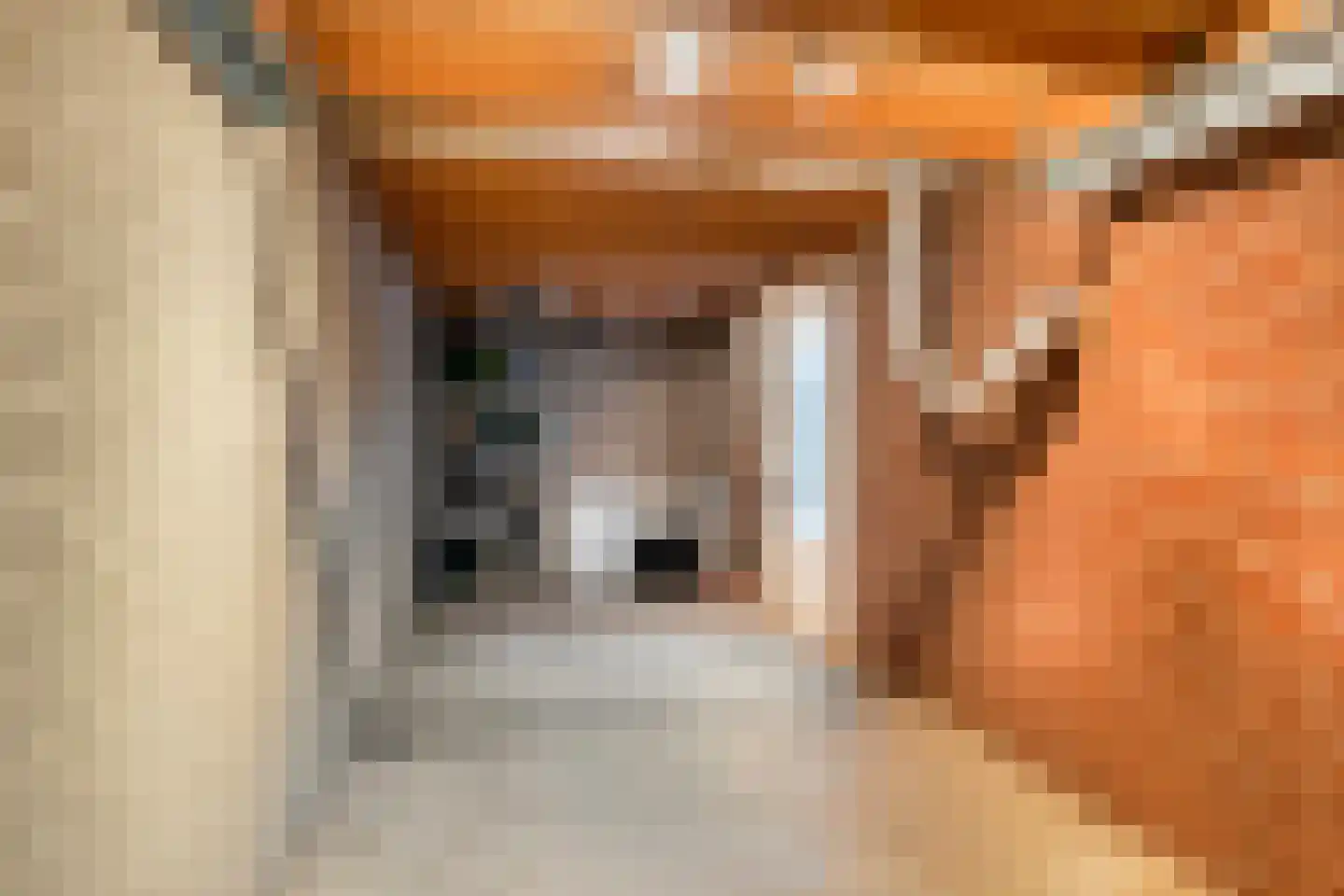 Junoplein 28 Bemmel thumbnail 42