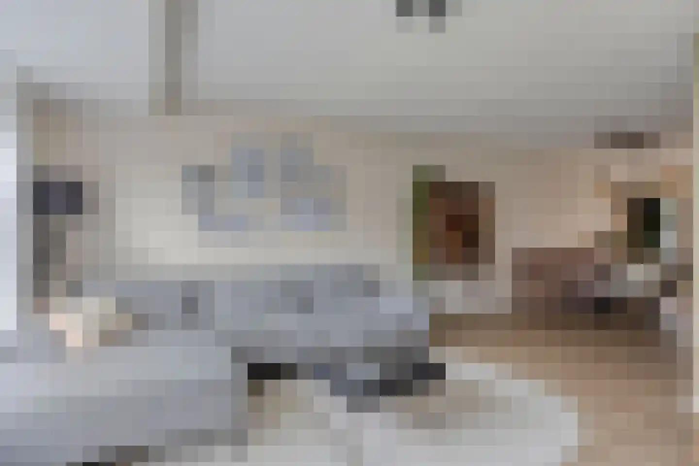 Junoplein 6 Bemmel thumbnail 13