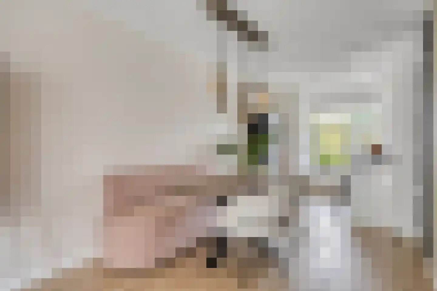 Junoplein 6 Bemmel thumbnail 16