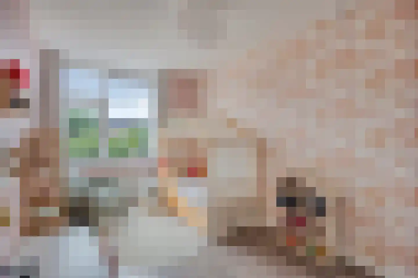 Junoplein 6 Bemmel thumbnail 29